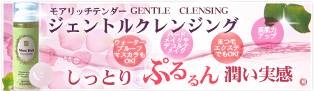 ���A���b�`�e���_�[�@�W�F���g���N�����W���O