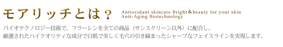 ���A���b�`�Ƃ�